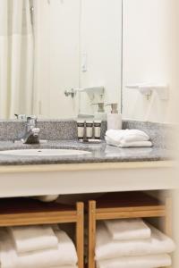 a bathroom counter with a sink and a mirror at Stamford Suites in Stamford