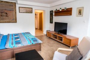 Vila Alice في لوهاتشوفيتسا: غرفة معيشة مع سرير وتلفزيون بشاشة مسطحة