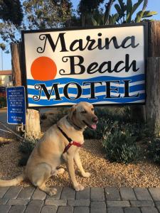 a dog is standing in front of a sign at Marina Beach Motel in Santa Barbara