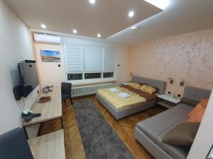 TV a/nebo společenská místnost v ubytování Apartman DoDoLu