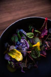 Jídlo v hotelu nebo okolí