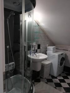 a bathroom with a shower and a sink and a toilet at Drago Kremenjaš in Delnice