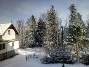 un patio cubierto de nieve con una casa y árboles en Apartmán LIPKA, en Vysoke Tatry - Tatranske Matliare