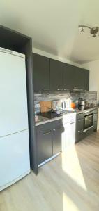 a kitchen with gray cabinets and a white refrigerator at Sanosueno 3 in Sonthofen +9 photos