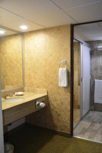 Un baño de Best Western Posada Del Rio