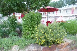 um jardim com flores amarelas em frente a uma casa em Red Wing Motel em Manitou Springs