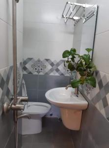 un bagno con lavandino e pianta in vaso di Forelsket 2 a Da Lat Altre 37 foto
