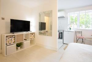 Televízia a/alebo spoločenská miestnosť v ubytovaní Modern apartment close to central London (zone 2)