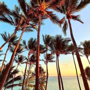 Afbeelding uit fotogalerij van Le MélanZé in Grande Anse