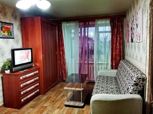 ユジノ・サハリンスクにあるApartment on Pobedy prospekt 75のリビングルーム(ソファ、テレビ付)