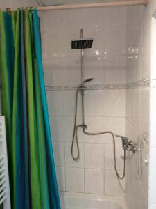 a shower in a bathroom with a shower curtain at Apartment Ramersdorf in Bonn