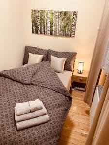 Posteľ alebo postele v izbe v ubytovaní Apartamenty W Brzozowym Gaju