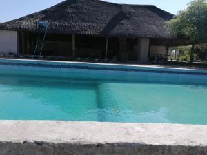 a swimming pool in front of a house at Moholoholo Lodge in Acornhoek