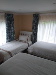 a bedroom with two beds and a window with curtains at Alpine Inn in George