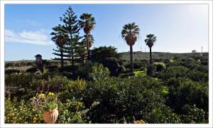 Gallery image of Agriturismo Antico Baglio in Paceco