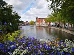 a view of a river with blue flowers and buildings at B&B Riverside - Centre of Bruges in calm area in Bruges