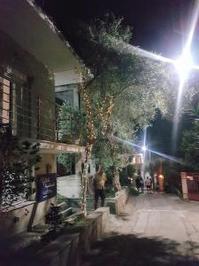 a person walking down a street at night at Spitaki Apartments Potos in Potos