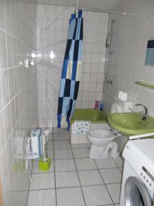 een kleine badkamer met een toilet en een douche bij Eschenkamp 9c in Isenbüttel