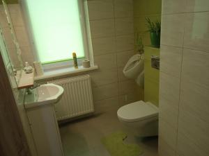 Agrostok noclegi agroturystyka的一间浴室
