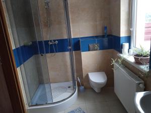 Agrostok noclegi agroturystyka的一间浴室