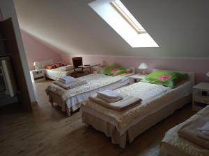 Strzelce GórneAgrostok noclegi agroturystyka的阁楼间设有三张床和天窗