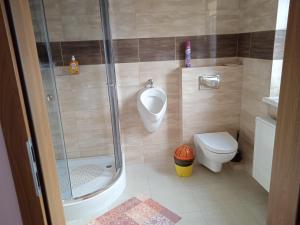 Agrostok noclegi agroturystyka的一间浴室