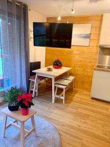 TV a/nebo společenská místnost v ubytování Les Pierres Blanches Mont Blanc