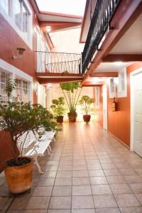 a hallway with chairs and potted plants in a building at Hotel Camba in Oaxaca City