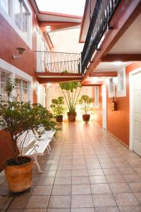 un couloir avec des chaises et des plantes en pot dans un bâtiment dans l'établissement Hotel Camba, à Oaxaca