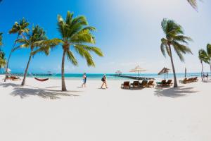 
a beach with palm trees and palm trees at Pelican Reef Villas Resort in San Pedro
