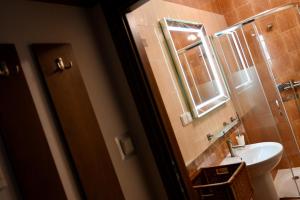 克雷尼察的住宿－Kaizen Apartament，一间带水槽、卫生间和镜子的浴室
