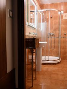 克雷尼察的住宿－Kaizen Apartament，一间带水槽和淋浴的浴室