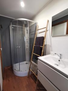 La salle de bains est pourvue d'une douche et d'un lavabo. dans l'établissement Studio 8, à Sancourt