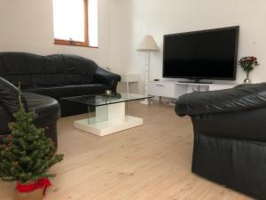 een woonkamer met een kerstboom en een televisie bij Katarina in Bled