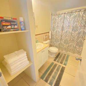 a bathroom with a toilet and a sink and a shower at The Intimate Paradise Close to 876 Beach in Falmouth