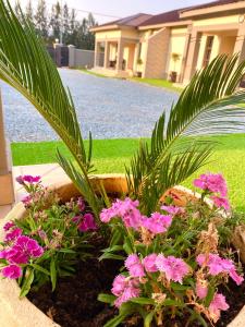a flower bed with pink flowers and palm trees at Green Haven Apartments in Ezulwini