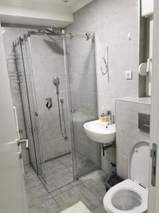 ein Bad mit einer Dusche, einem WC und einem Waschbecken in der Unterkunft Apartman Divcigora Sokic in Divčibare