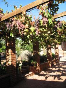 Zahrada ubytování Quinta Maria en la Ruta del Vino