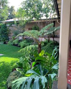 un jardín con plantas verdes frente a una casa en Ojala en Antigua Guatemala