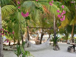 a hammock on a beach with palm trees and pink flowers at Kahanbu Ocean View in Thulusdhoo