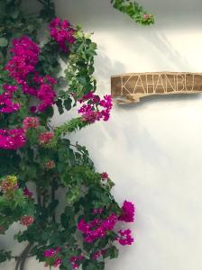 Aed väljaspool majutusasutust Kahanbu Ocean View