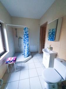 Baño pequeño con aseo y lavamanos en K-Town - Apartment near the Lake en Kaunas