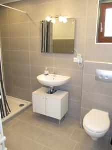 a bathroom with a sink and a toilet and a mirror at Eschenkamp 7a in Isenbüttel