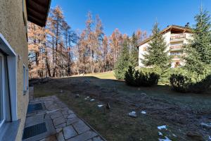 a yard of a house with trees and a building at Chesa Muragl - Pontresina in Pontresina
