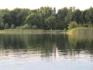 Φωτογραφία από το άλμπουμ του Eschenkamp 7b σε Isenbüttel