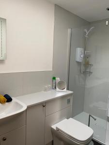 bagno bianco con servizi igienici e doccia di Moelfre B&B a Machynlleth