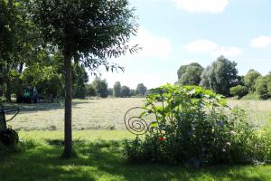 Zahrada ubytování B&B De Ark