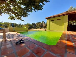 a swimming pool with green paint on a patio at B&B Casa das Eiras in Pereira