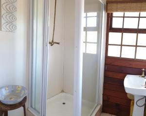 Star Dam Estate - Tranquil Cottage في Lidgetton: حمام مزود بدش ومغسلة