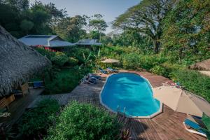 vista sulla piscina con ombrellone di The Hummingbird a Bocas del Toro